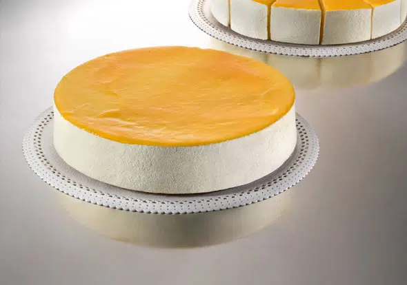 CheeseCake Mango Aprikose